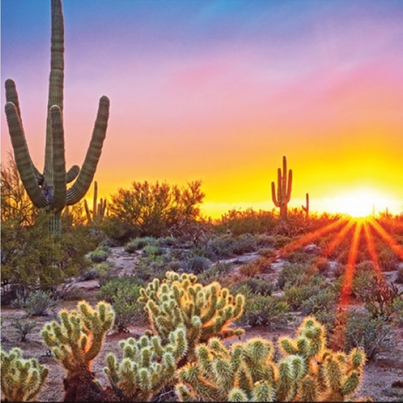 Desert Tee - Picture 4 of 4